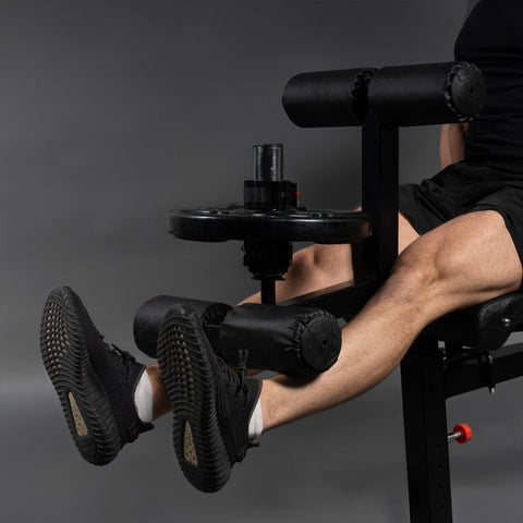 TB011B Leg Extension Leg Curl Attachment for Workout Bench – Fitness Avenue
