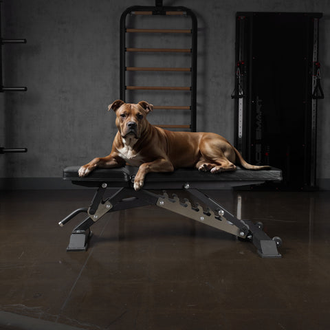 Banc réglable AmStaff Fitness AF-2200