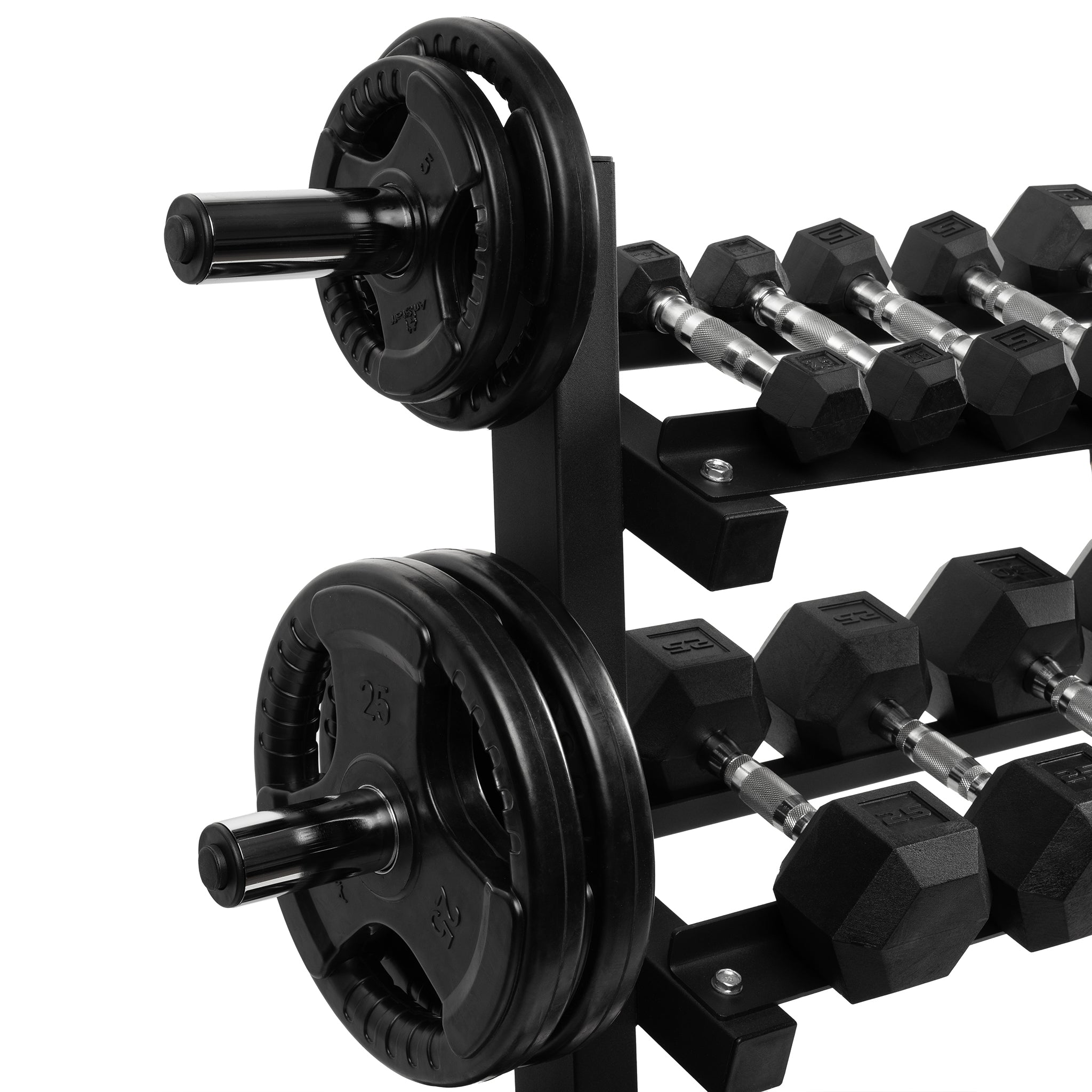 Plate and best sale dumbbell rack