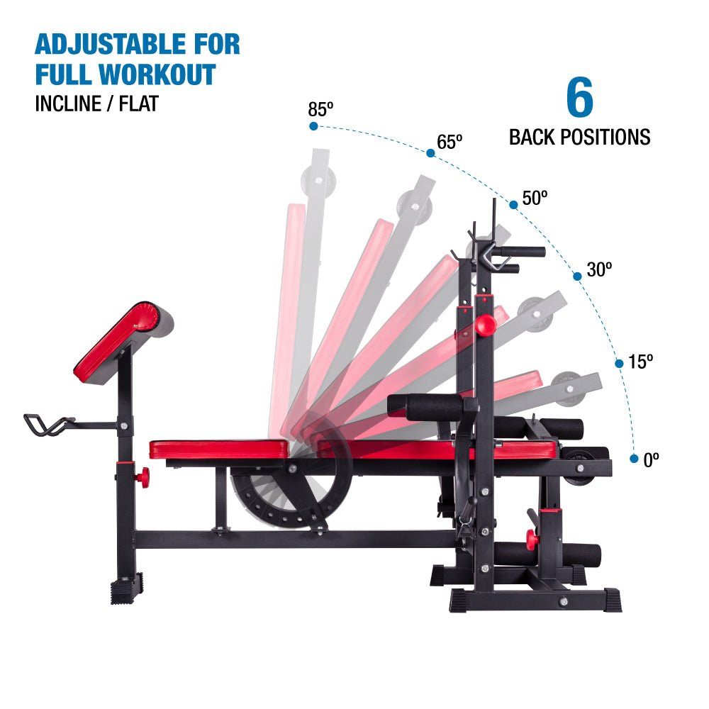 Amstaff 2025 bench press